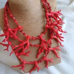collar coral