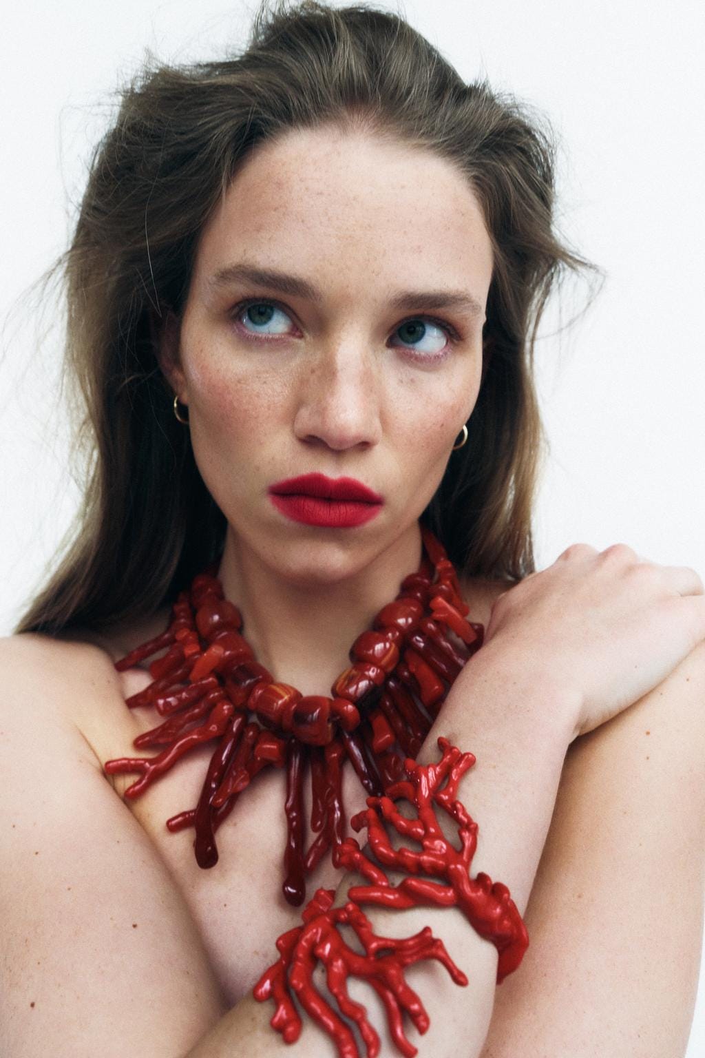 collares-rojos-521hmp-1.jpg collares rojos - Imagen 1